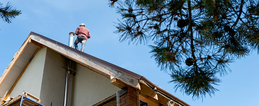 Birds Removal Contractors from Chimney in Lansdale, PA